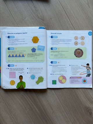 Matemáticas 6 Primaria