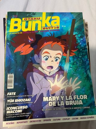 Otaku bunka