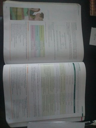 Lengua castellana y literatura, 1 BACH.