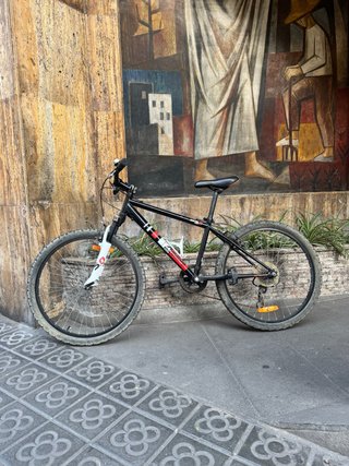 Bicicleta Rockrider 5.0 aro 24