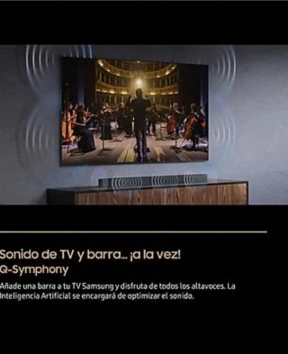 Barra de Sonido Samsung B66CF