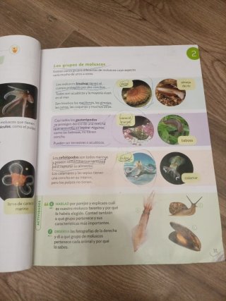Ciencias de la naturaleza, 3 Primaria