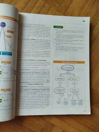Biología, Geología y Ciencias Ambientales 1 Bach