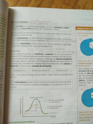 Biología, Geología y Ciencias Ambientales 1 Bach