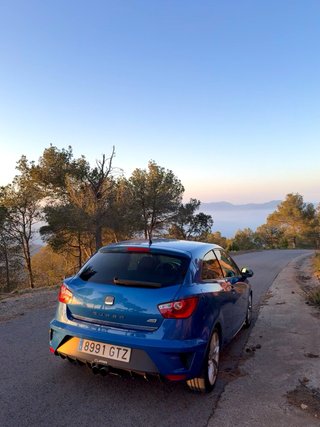 Seat ibiza cupra Ibiza cupra 2008 2008