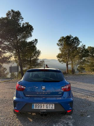 Seat ibiza cupra Ibiza cupra 2008 2008