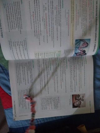 Libro lengua 4 ESO