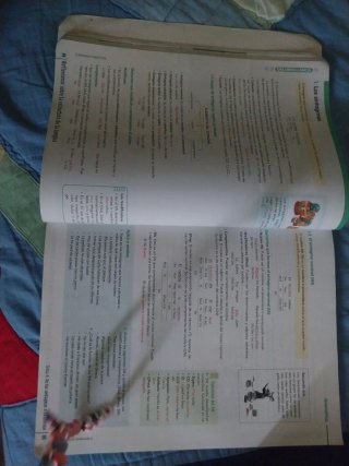 Libro lengua 4 ESO
