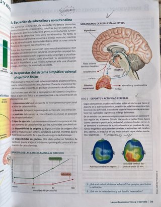 Anatomía Aplicada