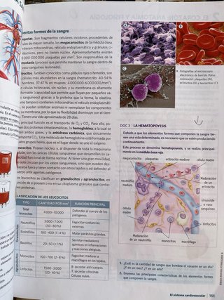 Anatomía Aplicada