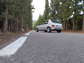 Peugeot 205 1989