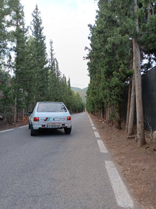 Peugeot 205 1989
