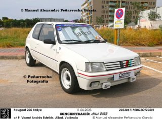Peugeot 205 1989