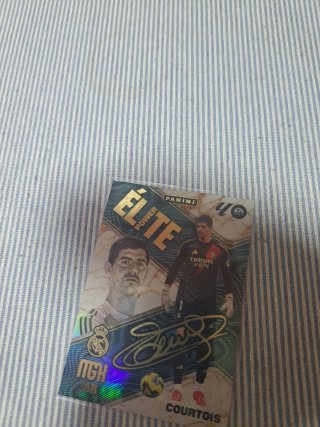 Carta fútbol Panini Mamardashvili