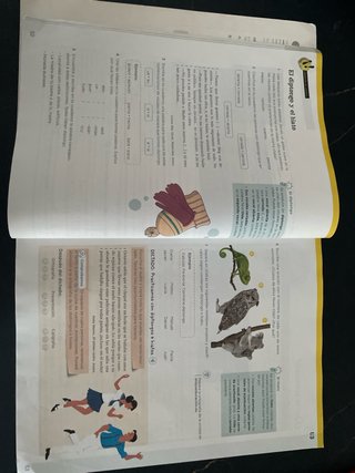 Lengua 5o Primaria ; Beethoven y la Bruja
