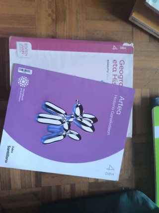 Geografia eta historia, DBH 4 Egiten Jakin proi...