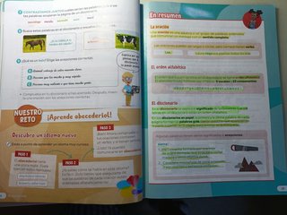 Lengua castellana y literatura, 3 Primaria, Rev...