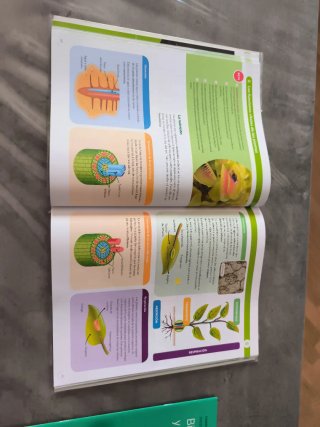 Biología y Geología 1 ESO Santillana