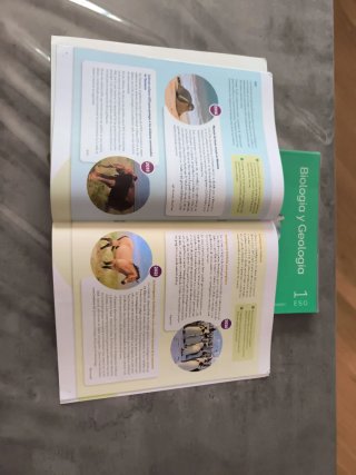 Biología y Geología 1 ESO Santillana