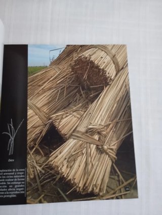 Etnografía de la Doñana sevillana