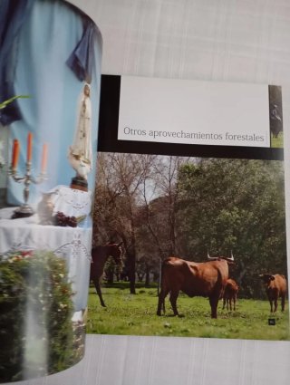 Etnografía de la Doñana sevillana