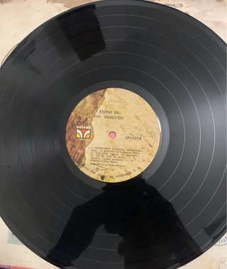 Vinilo Exitos de Los Dementes