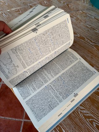 牛津高階英漢雙解詞典 Oxford, Advanced Learner's diccionary