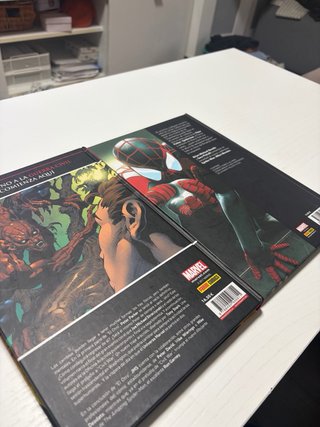 2 COMICS SPIDERMAN
