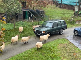 Land Rover Range Rover 1995