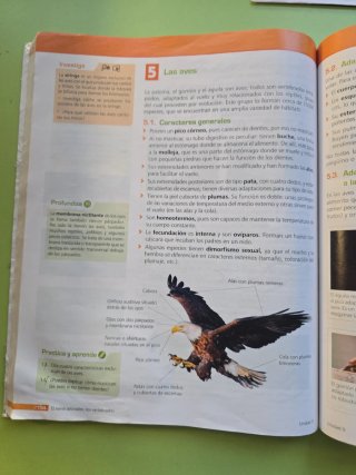 Biología y Geología 1.º ESO LOMLOE