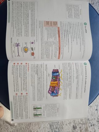 Biología, Geología y CC. Ambientales 1º Bachill...