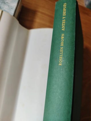 Dos libros : Ken Follet y Rosellen Brown