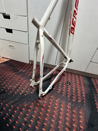 Cuadro Bicicleta 29 Berg