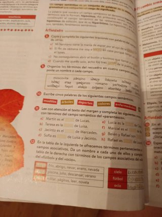Lengua castellana y literatura Geniox