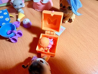 Littlest Pet Shop Fiesta Cumpleaños 105, 106 y 107