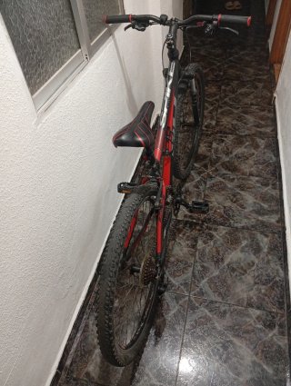 Bicicleta de Montaña