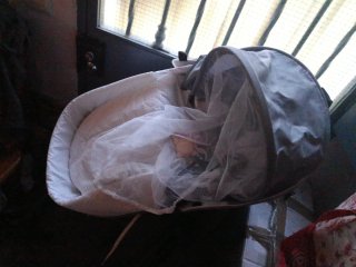 Mochila - nido portatil con mosquitera