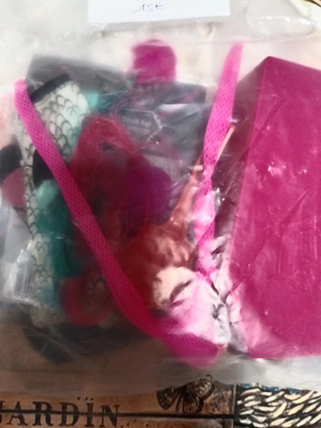 Lote Monster High Muñeca y Accesorios OFERTA