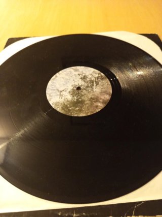 Vinilo Yotam Aflalo - Entropy EP