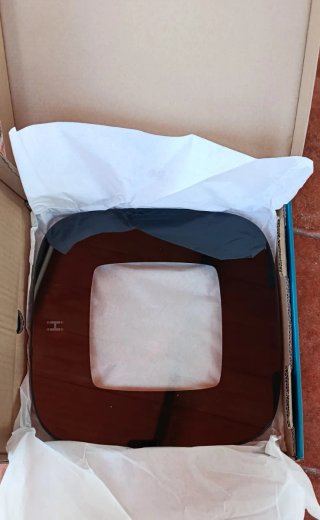 Báscula digital Homedics Glo