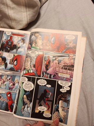 Spiderman: Vuelta a casa: Marvel Héroes