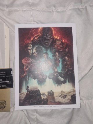 Las sombras de raccon city libro edición especial