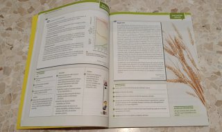 Libro de lengua castellana 1° Bach de EDILVES