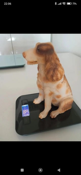 Escultura cerámica perro cocker spaniel