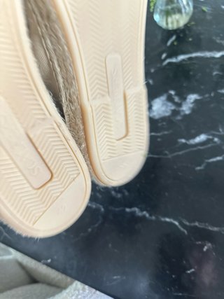 Alpargatas scalpers Beige Hombre
