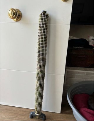 Tutor musgo sphagnum para plantas