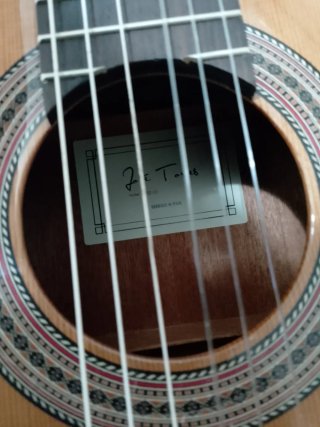 Guitarra española autoamplificada