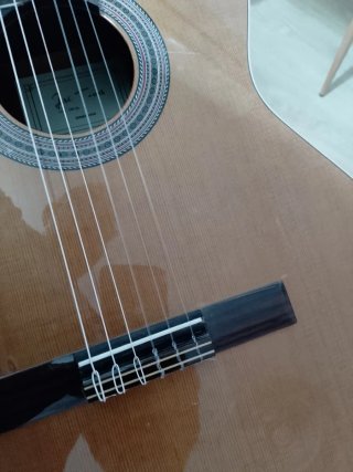 Guitarra española autoamplificada