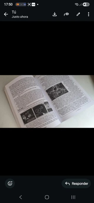 LIBRO HOROR 80s 300 PELICULAS A-Z 450pag. NUEVO