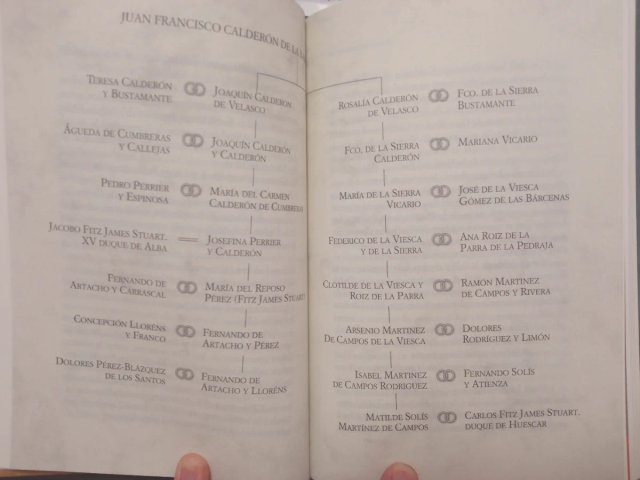 Los otros Alba. Libro biografía familia ilegítima